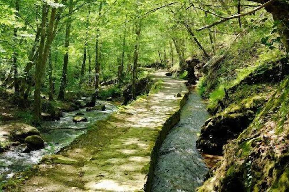 Photo of Outdoor in Albignac