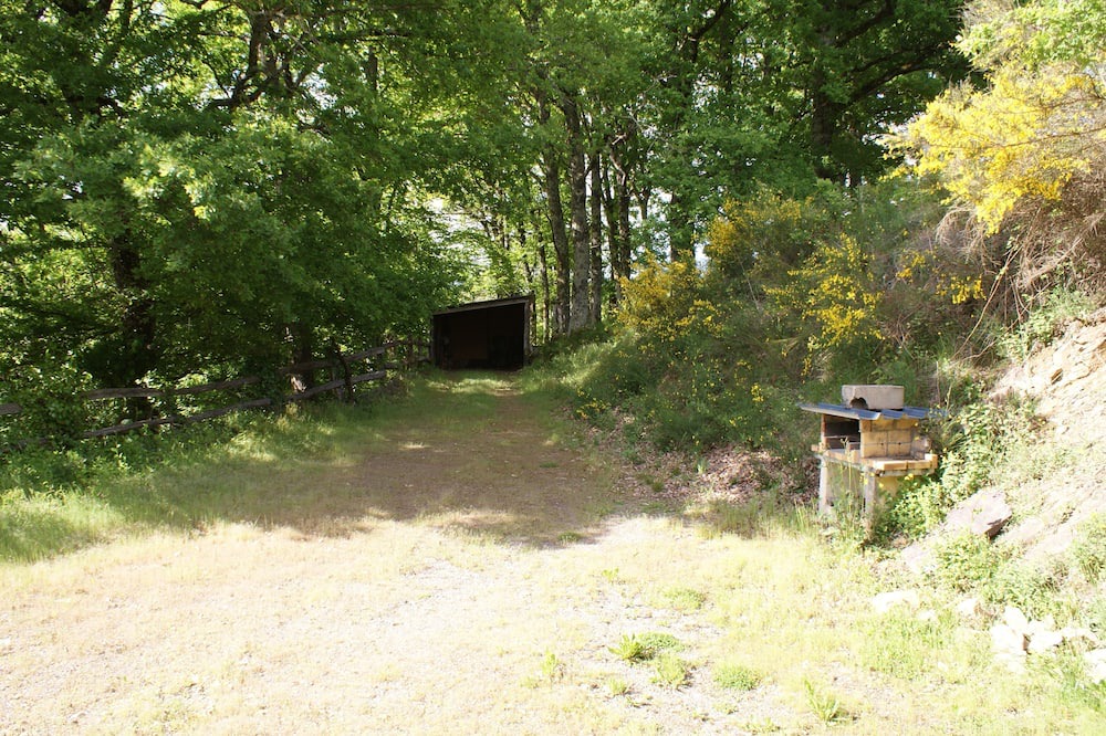 Photo of Outdoor in Albignac