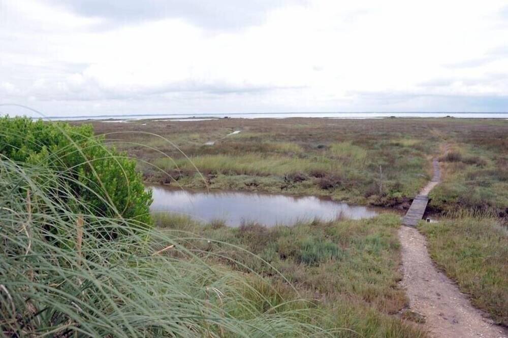 Photo of Outdoor in Gujan-Mestras