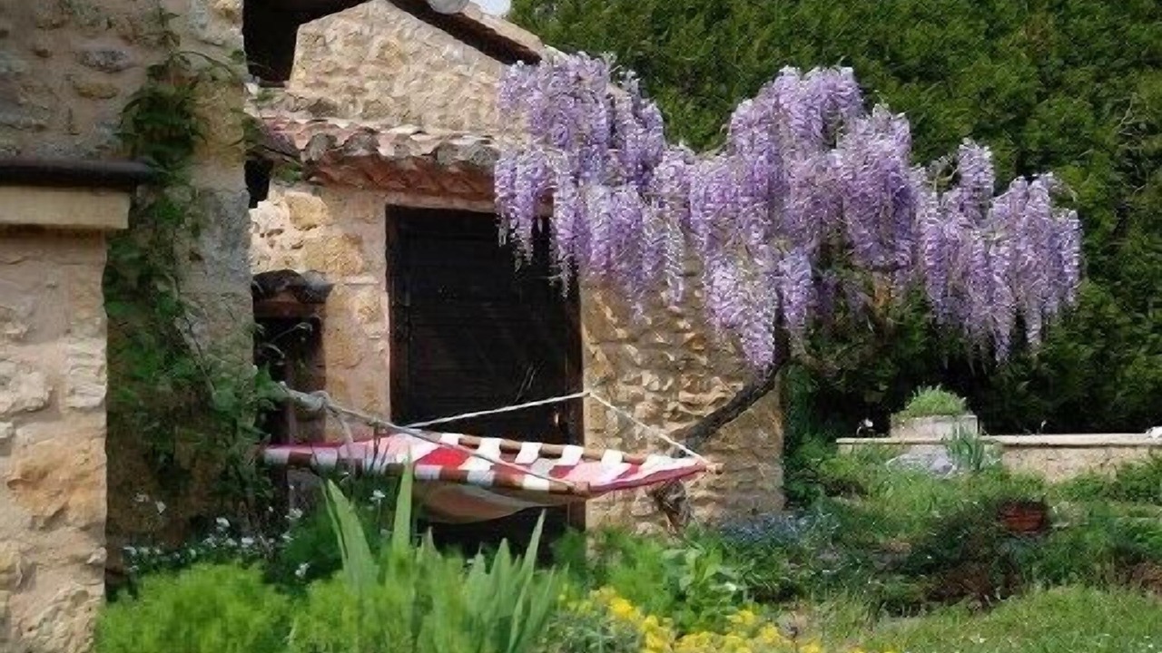 Photo of Outdoor in Mauzac-et-Grand-Castang