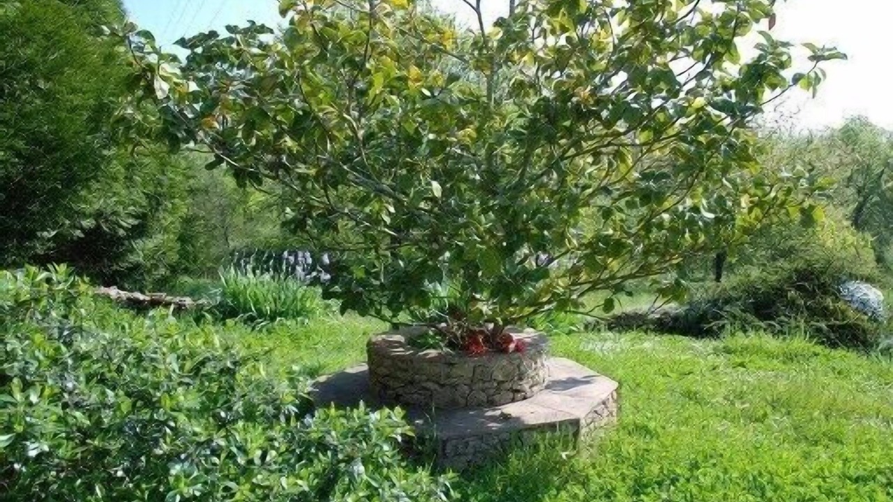 Photo of Outdoor in Mauzac-et-Grand-Castang