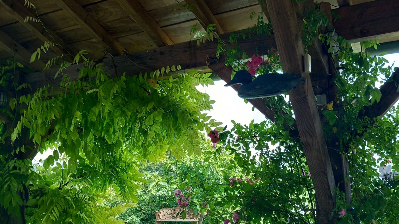 Photo of Outdoor in Ruch