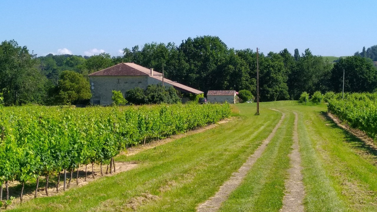 Photo of Outdoor in Ruch