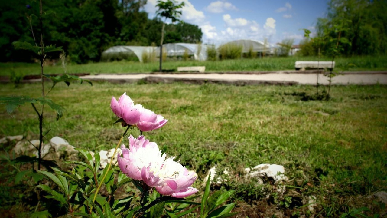 Photo of Outdoor in Montesquieu