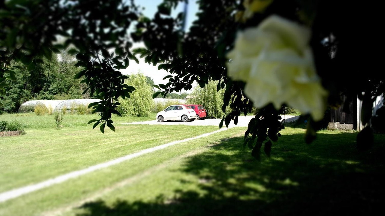Photo of Outdoor in Montesquieu