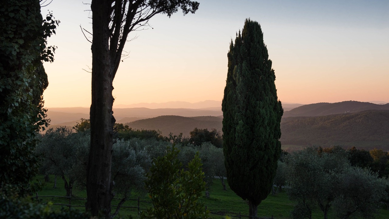 Photo of Others in Sassetta