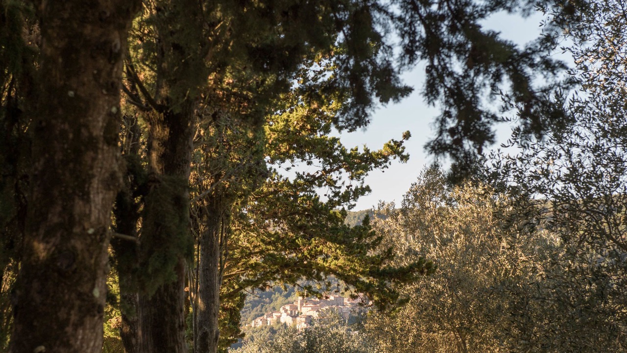 Photo of Others in Sassetta