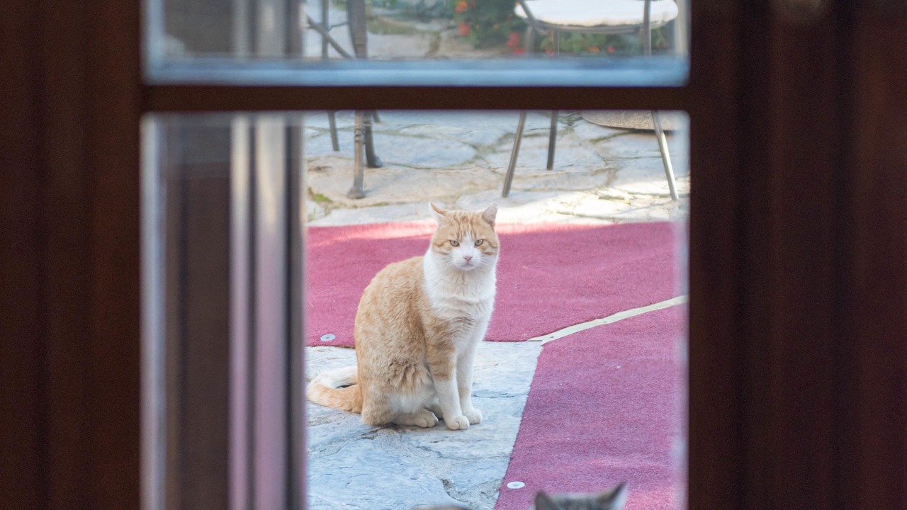 Photo of Others in Sassetta