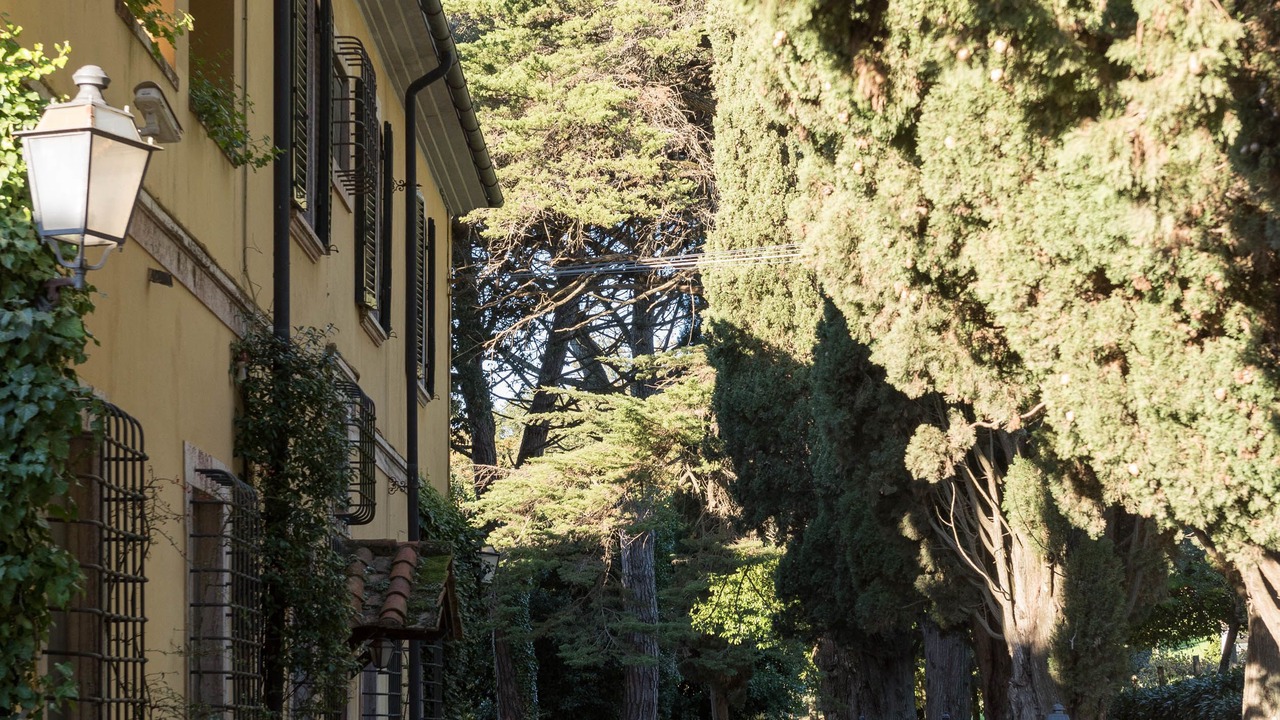 Photo of Outdoor in Sassetta