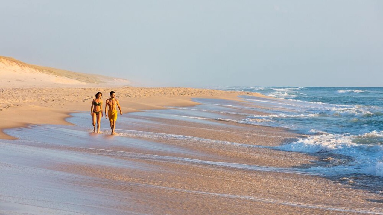Photo of Others in Lacanau-Ocean