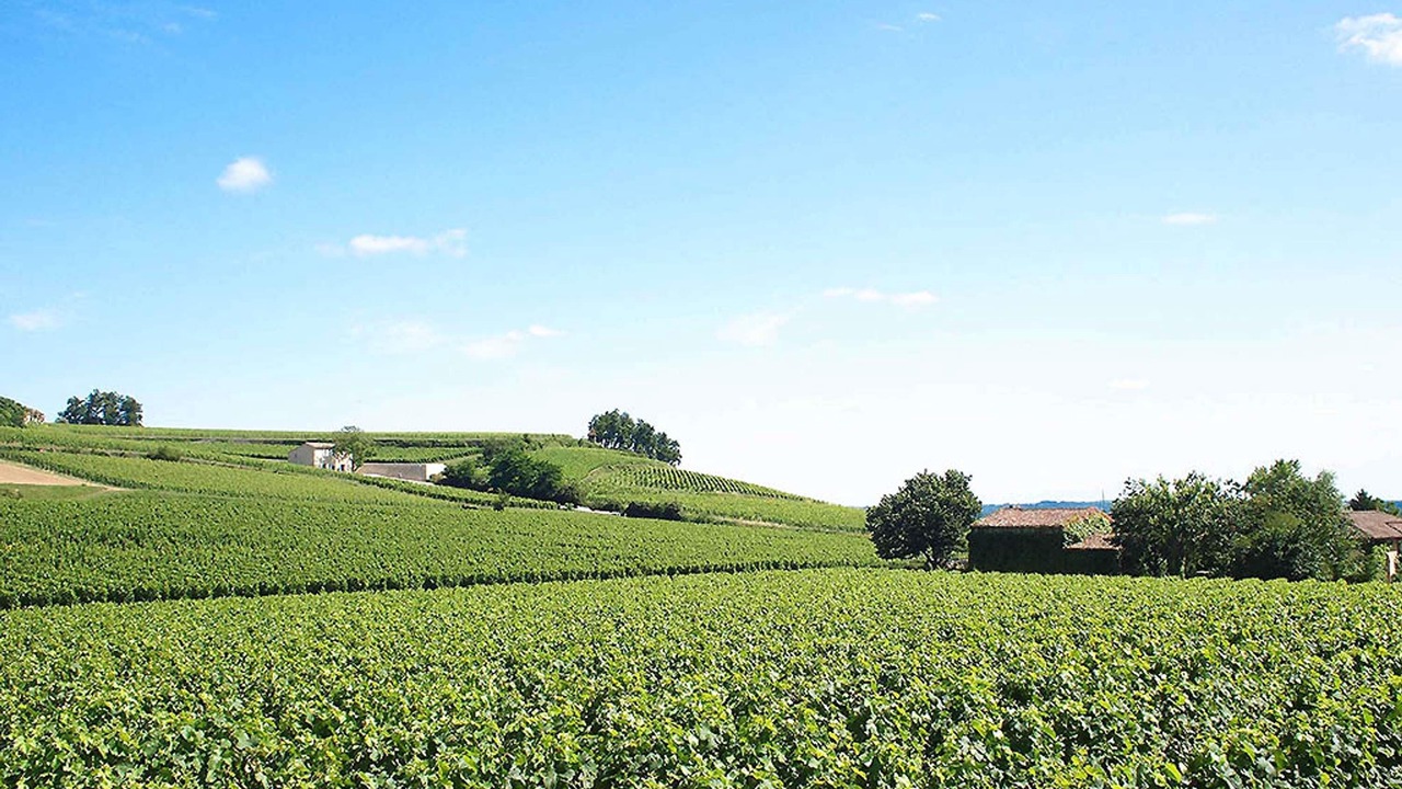 Photo of Outdoor in Saint-Emilion