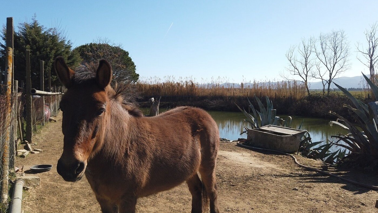Photo of Outdoor in Orbetello