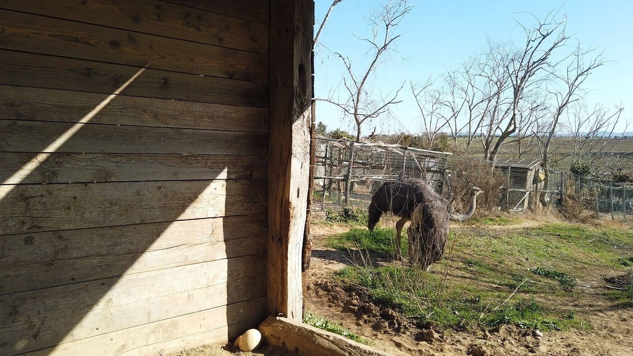 Photo of Outdoor in Orbetello