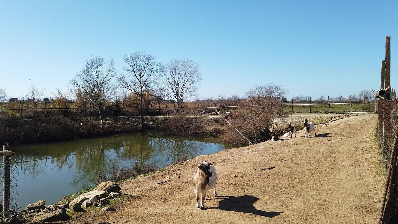 Photo of Outdoor in Orbetello