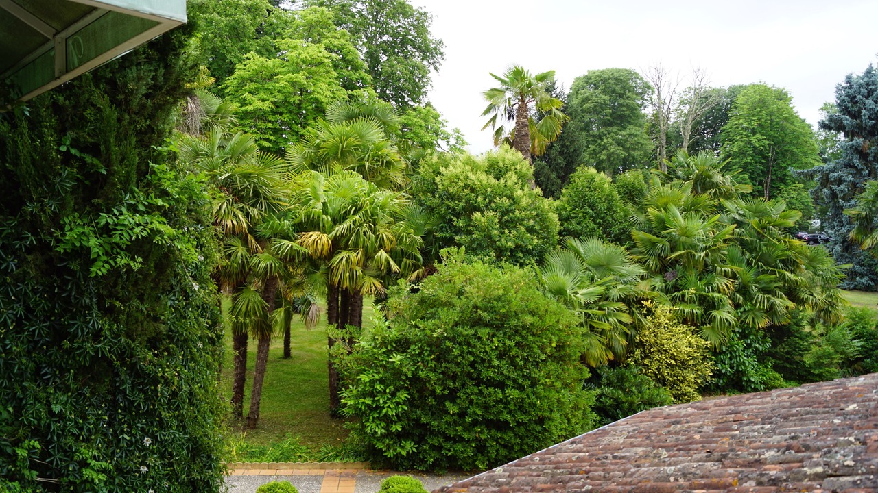 Photo of Bedroom in Bazas