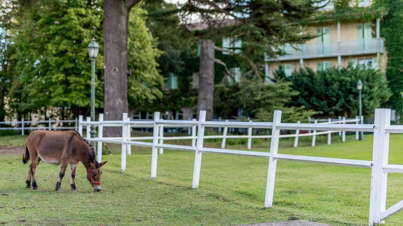 Photo of Outdoor in Bazas