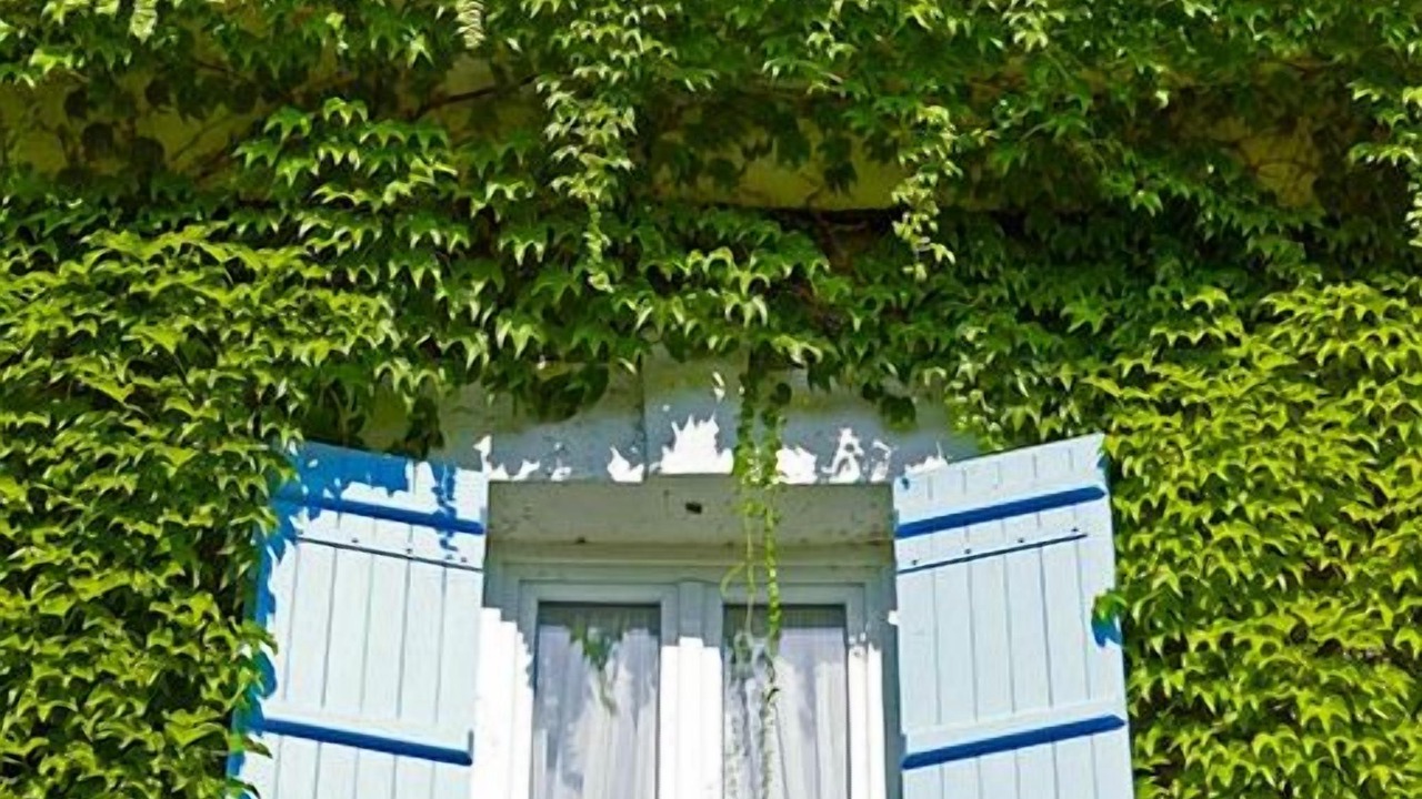 Photo of Outdoor in Saint-Saud-Lacoussiere