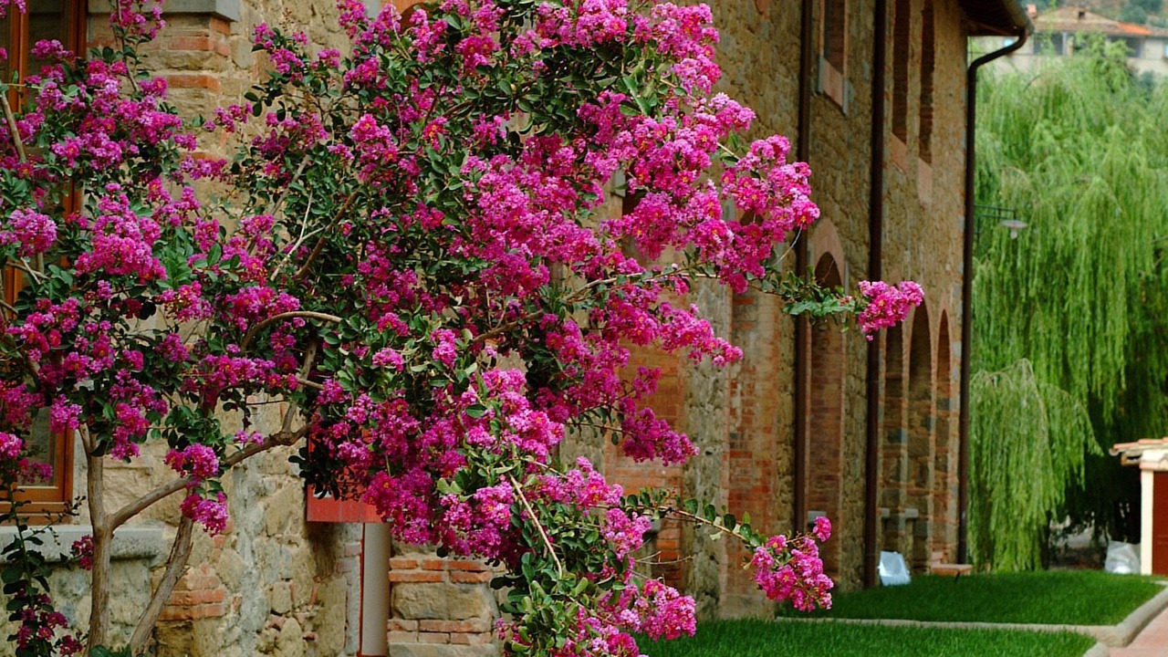 Photo of Outdoor in Terranuova Bracciolini