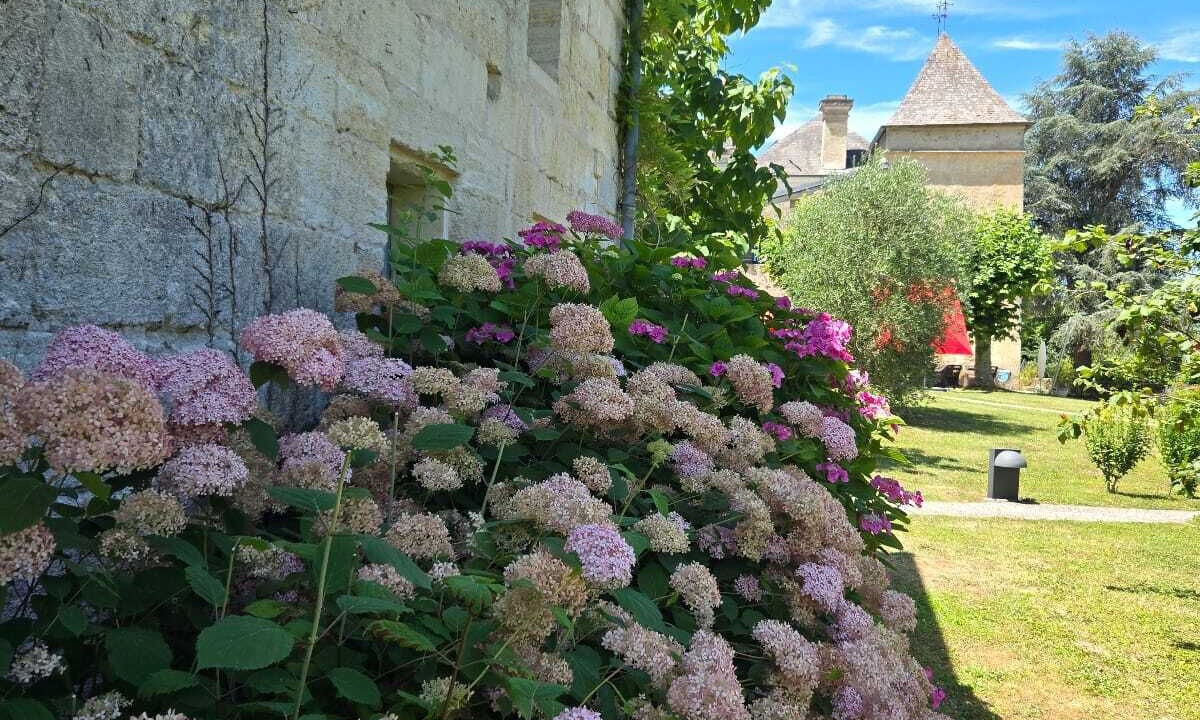 Photo of Outdoor in Saint-Jean-de-Blaignac