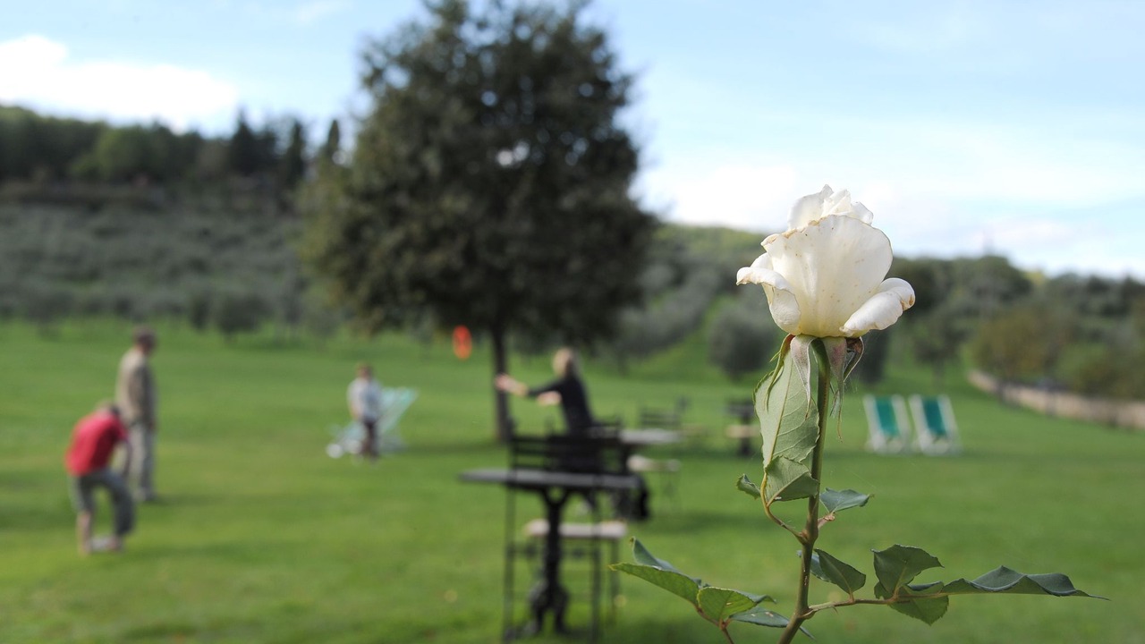 Photo of Outdoor in Campestri