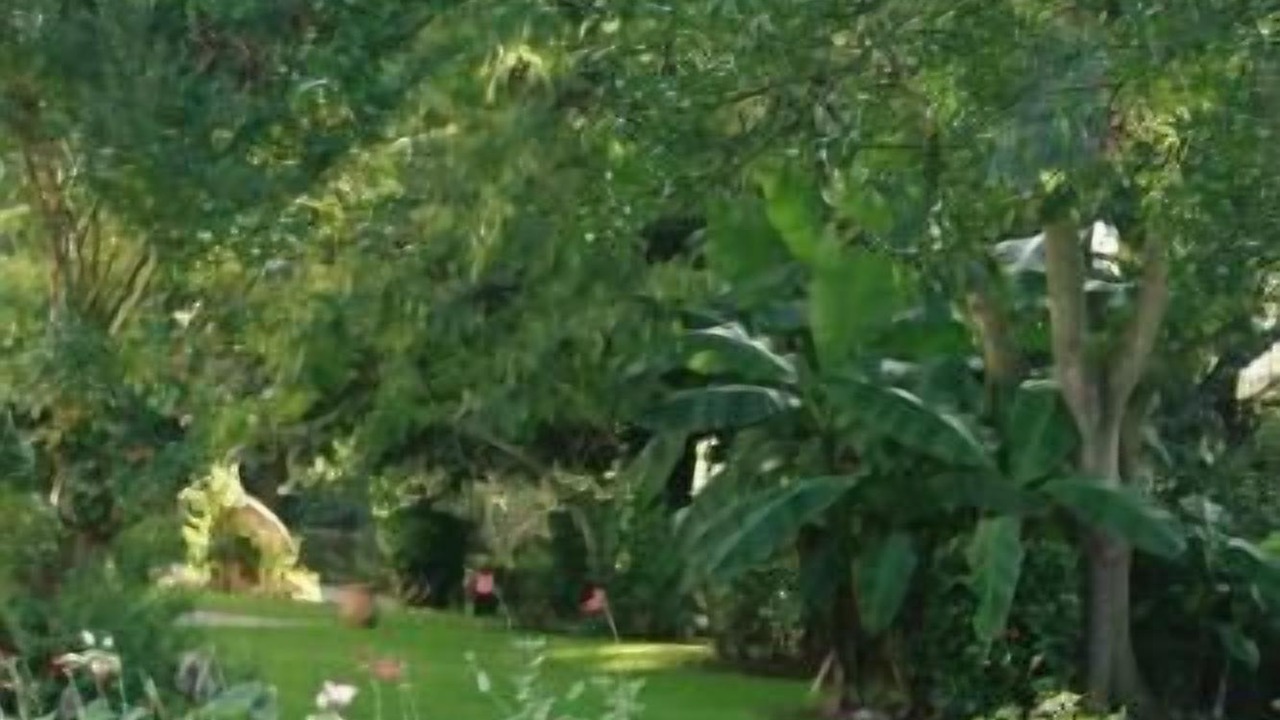 Photo of Outdoor in Ainhoa