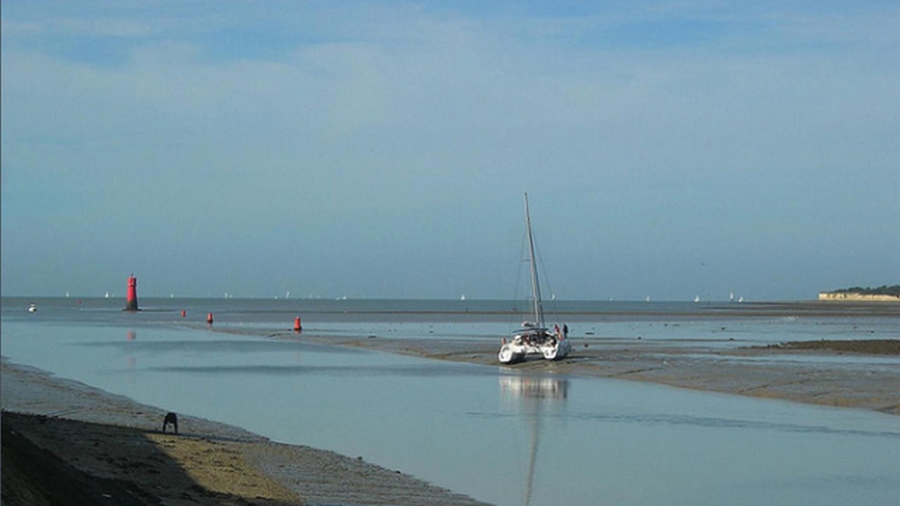 Photo of Others in La Rochelle