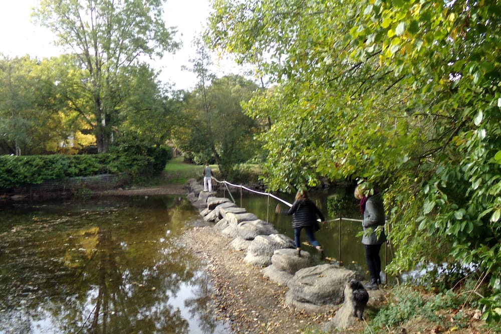 Photo of Outdoor in Saint-Loup-Lamaire