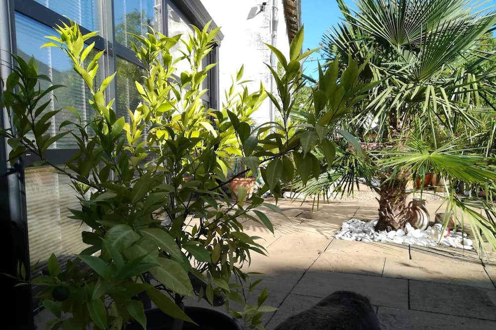 Photo of Outdoor in Chabournay