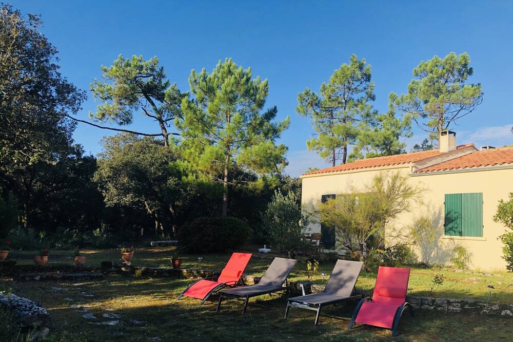 Photo of Others in La Remigeasse