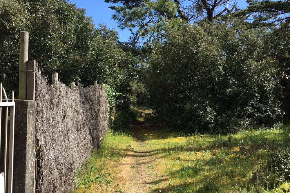 Photo of Outdoor in La Remigeasse
