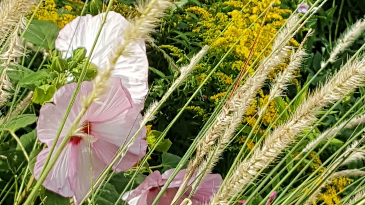 Photo of Outdoor in Gastes