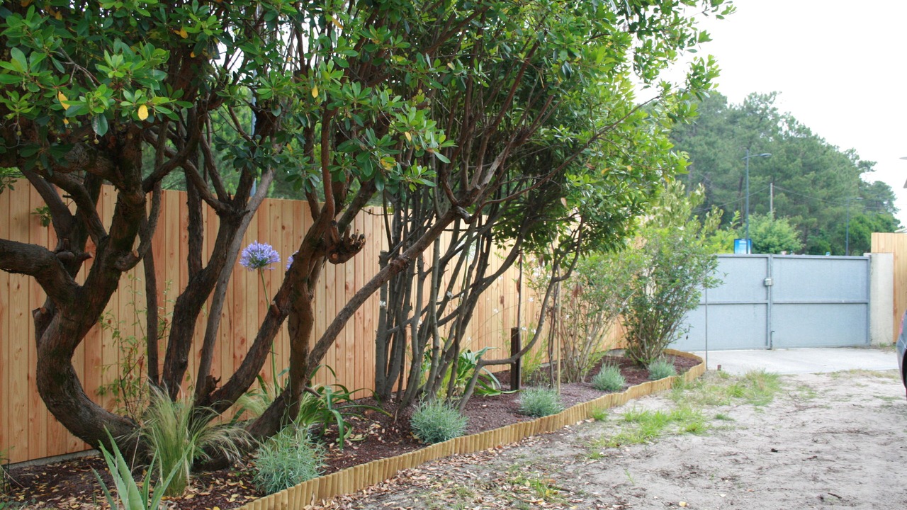 Photo of Outdoor in Claouey