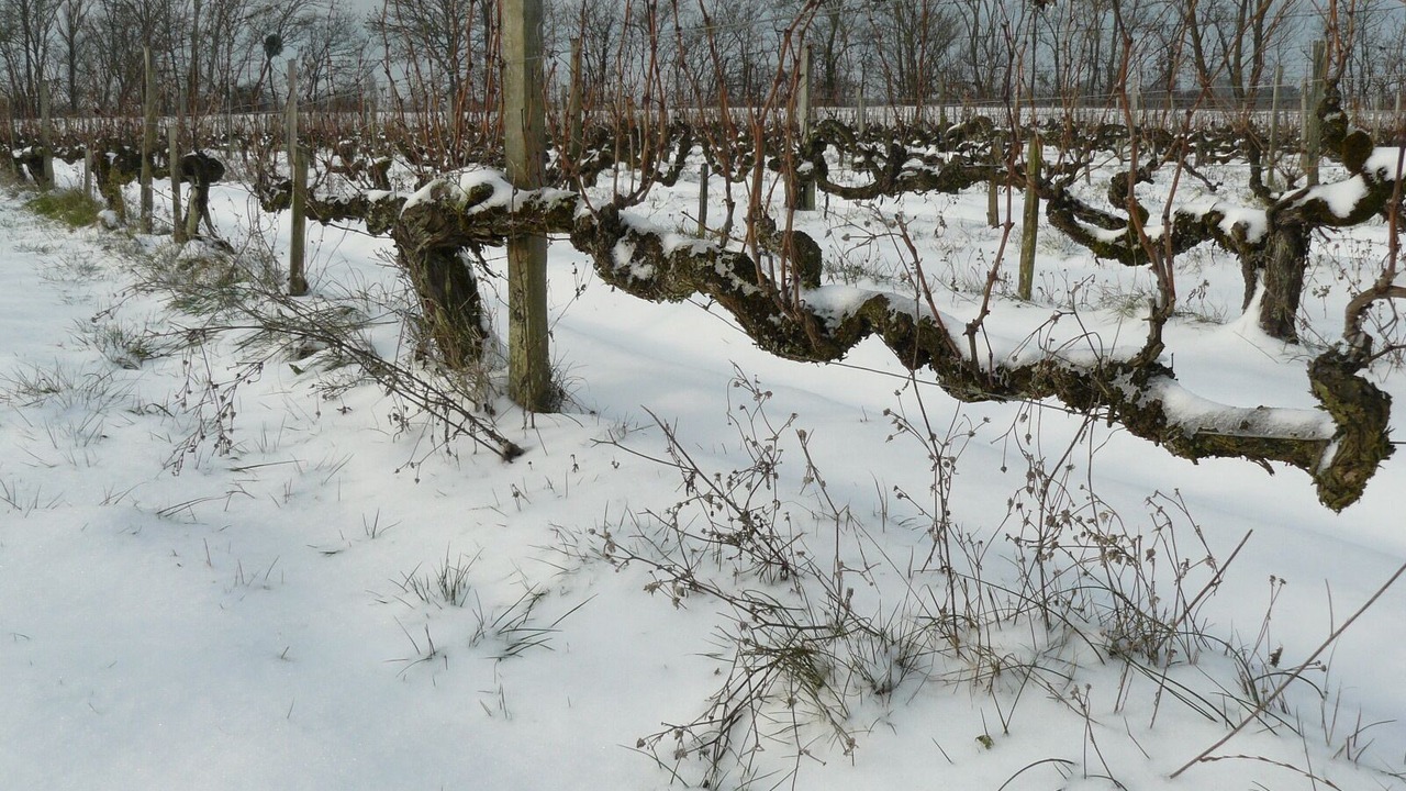 Photo of Others in Lugon-et-l'ile-du-Carney