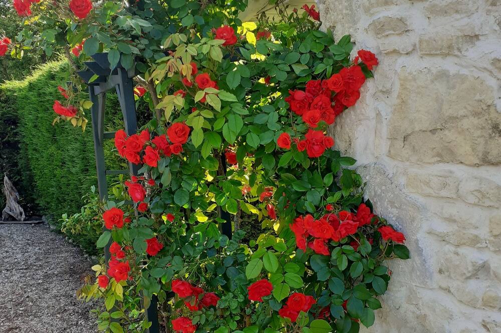 Photo of Outdoor in Civrac-en-Medoc