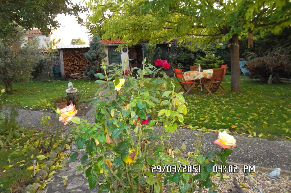 Photo of Outdoor in Civrac-en-Medoc