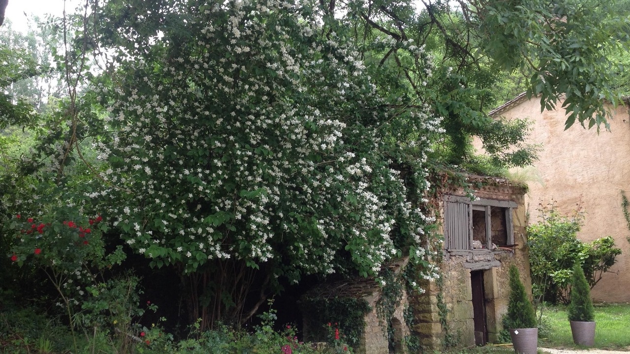 Photo of Outdoor in Saint-Avit-Senieur