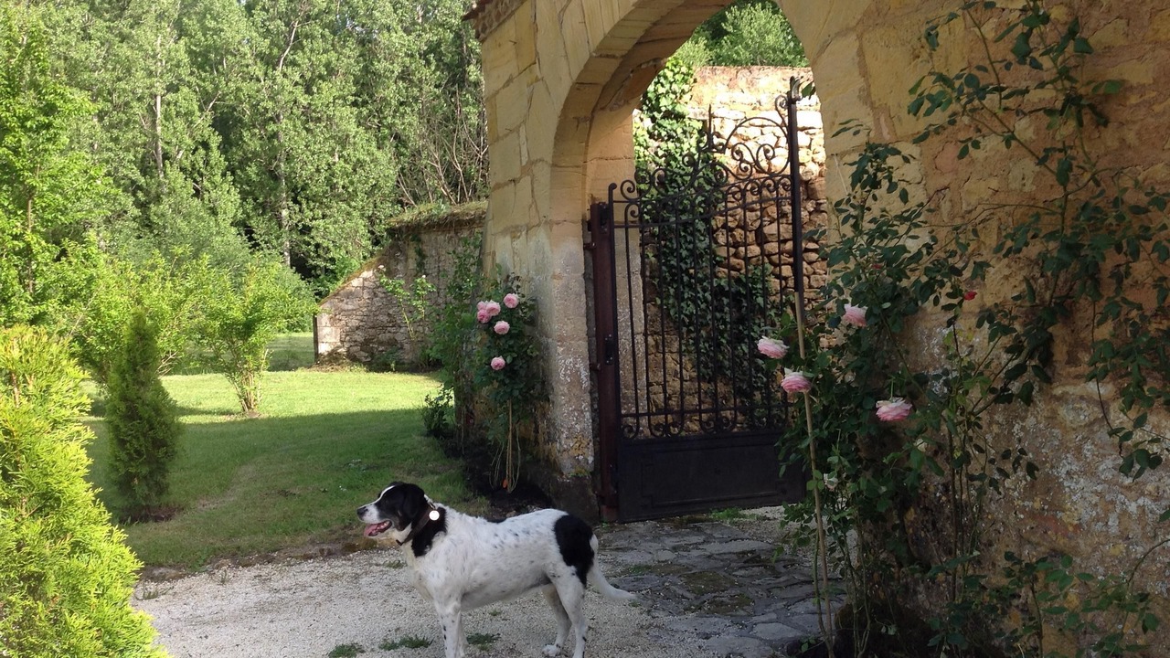 Photo of Outdoor in Saint-Avit-Senieur