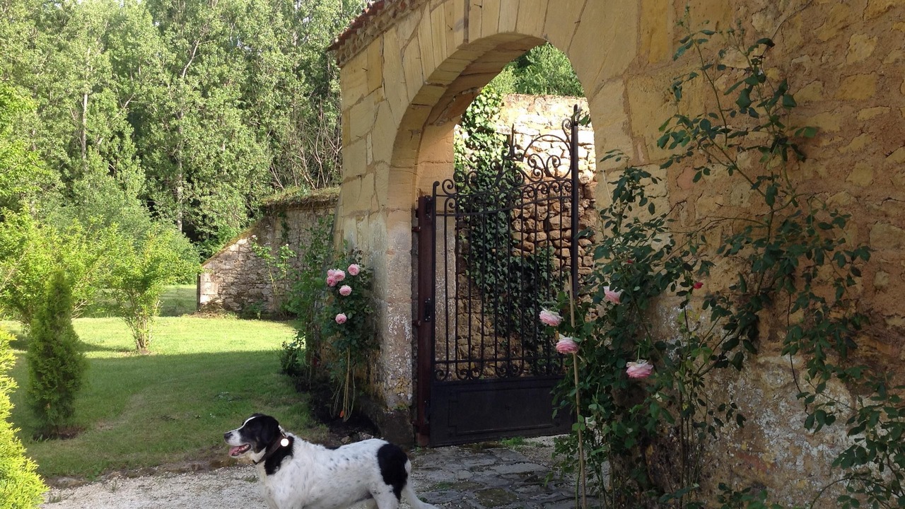 Photo of Outdoor in Saint-Avit-Senieur