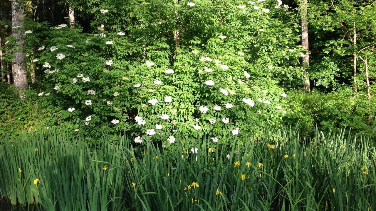 Photo of Outdoor in Saint-Avit-Senieur