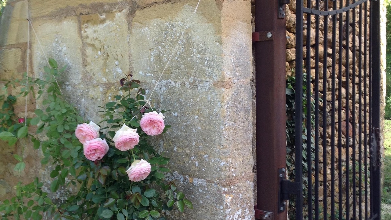 Photo of Outdoor in Saint-Avit-Senieur