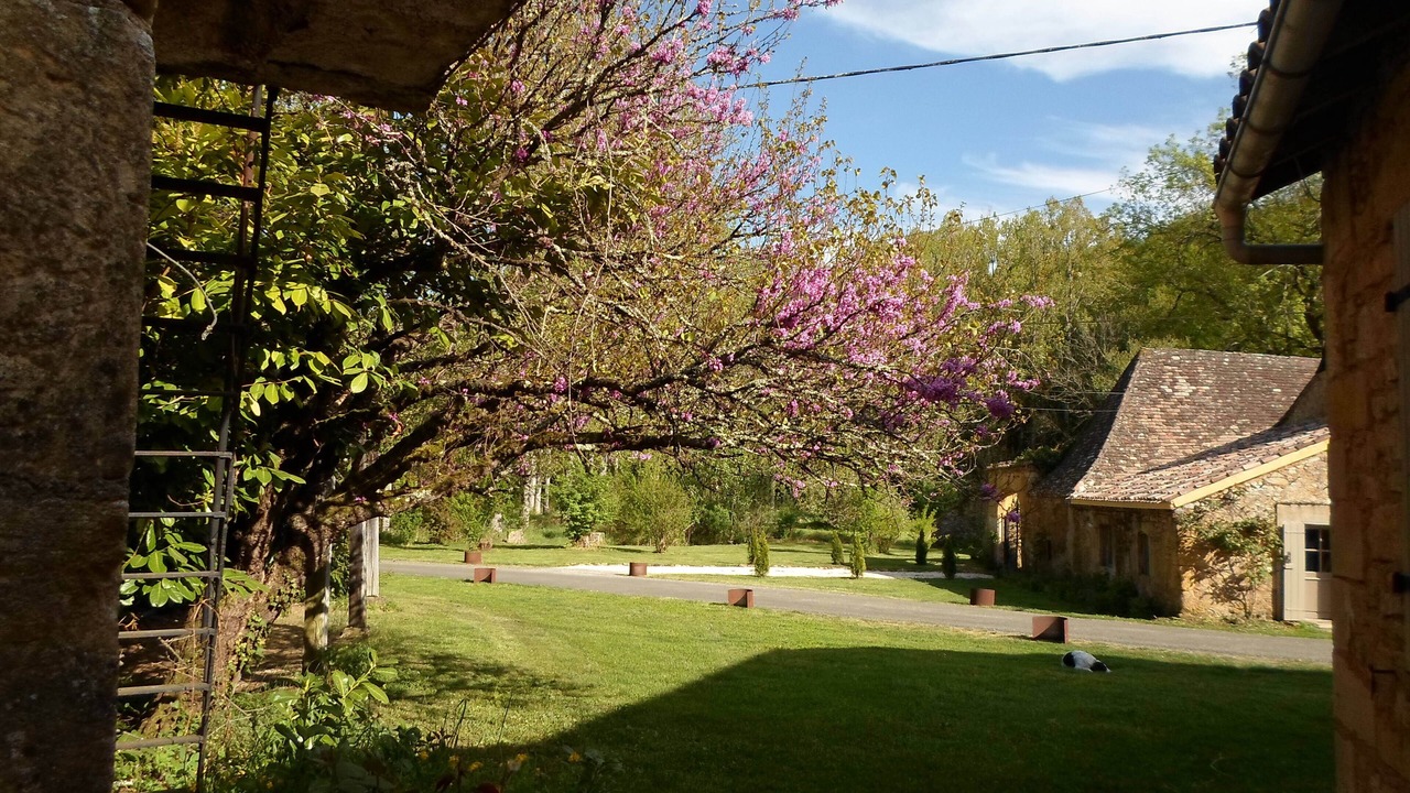 Photo of Outdoor in Saint-Avit-Senieur