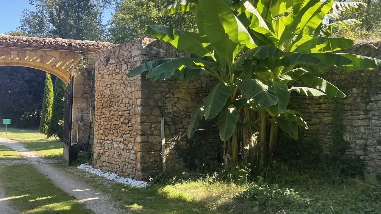 Photo of Outdoor in Saint-Avit-Senieur