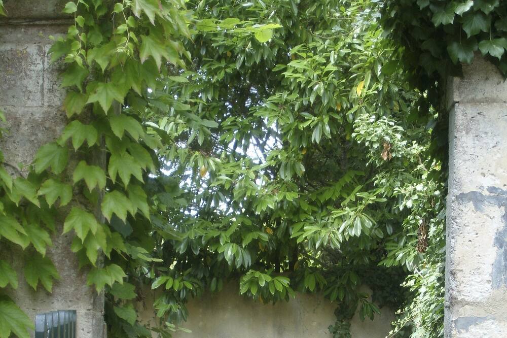 Photo of Outdoor in Nabinaud