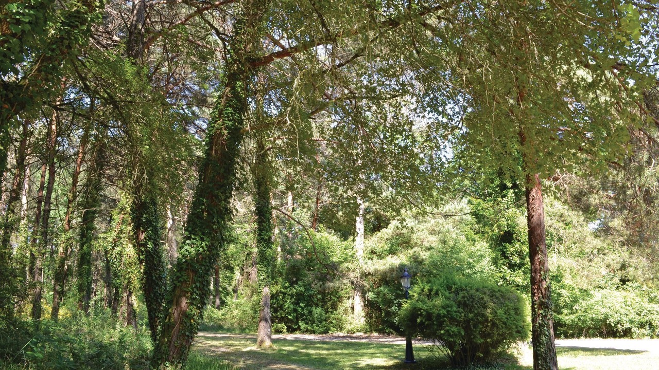 Photo of Outdoor in Sers
