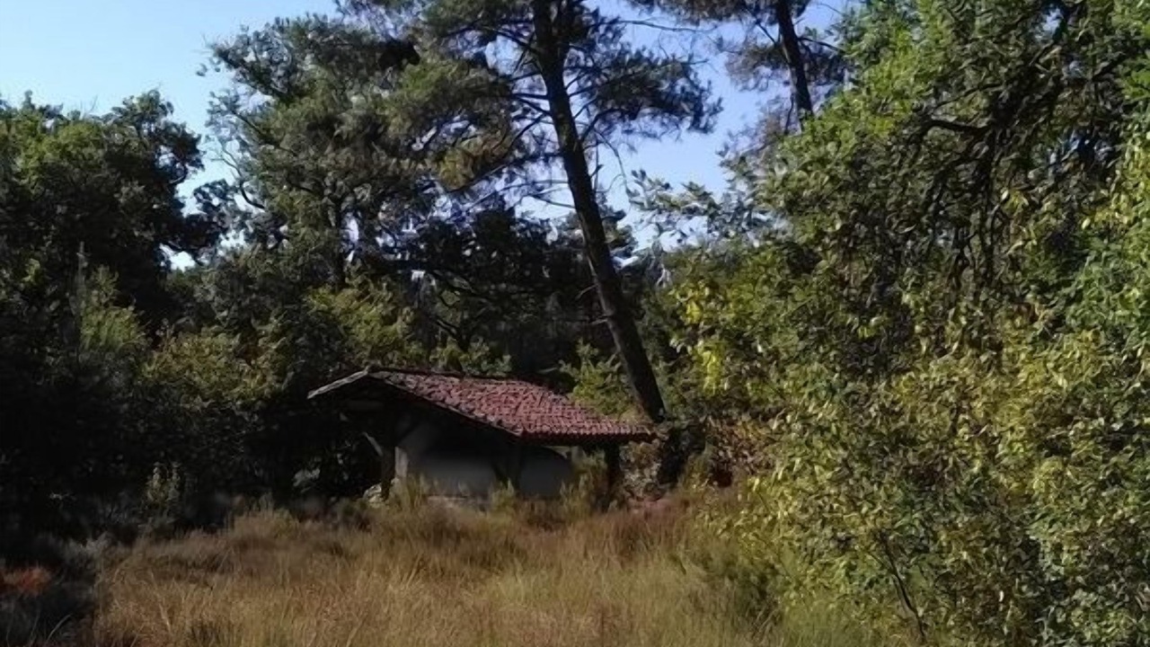 Photo of Outdoor in Callen