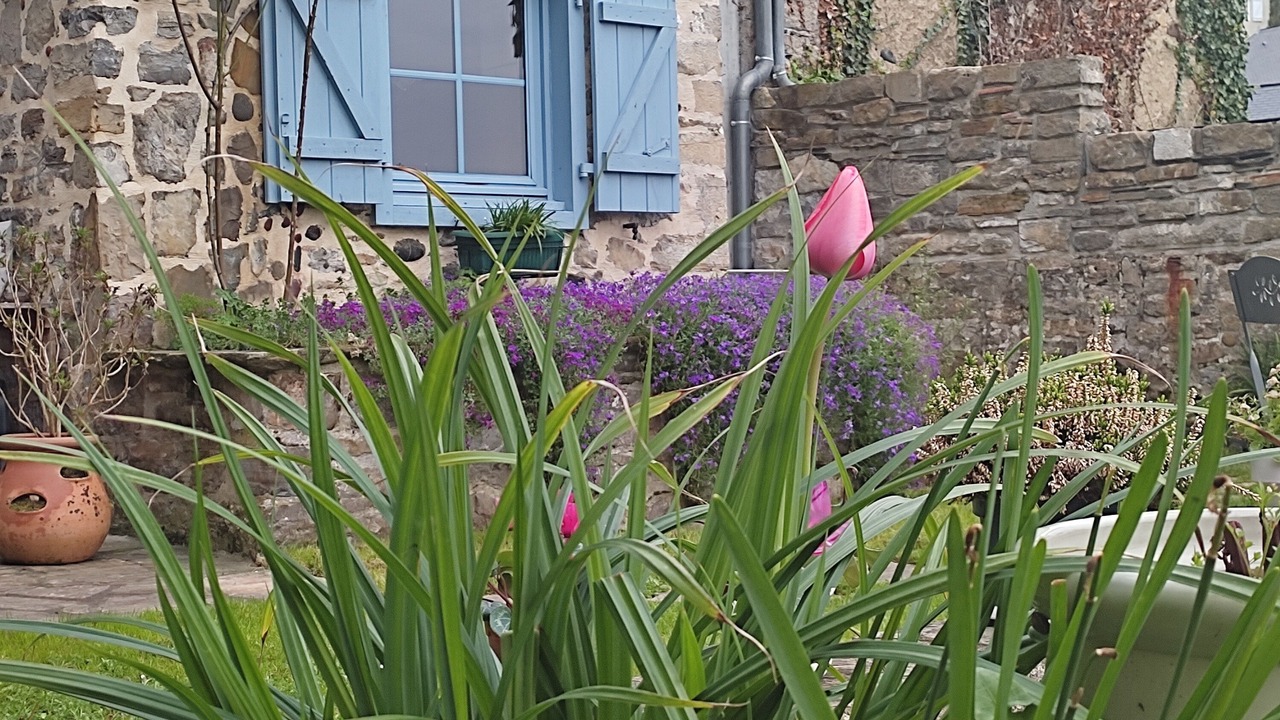 Photo of Outdoor in Oloron-Sainte-Marie