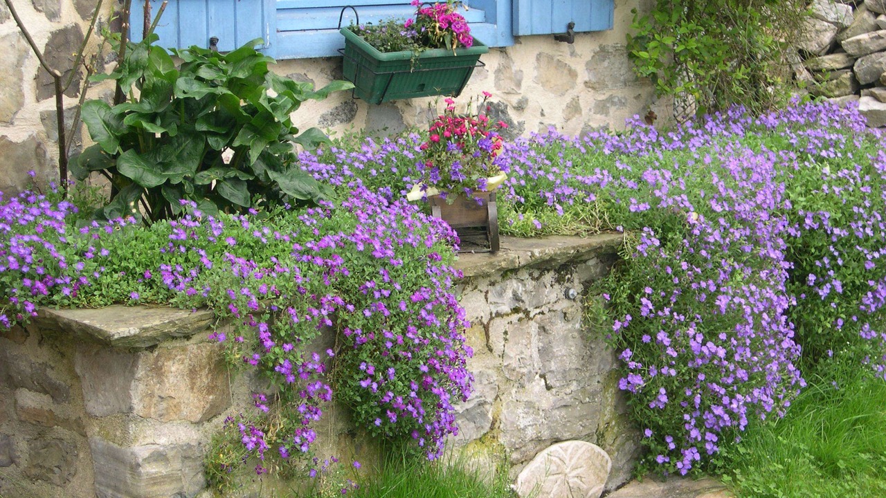 Photo of Outdoor in Oloron-Sainte-Marie