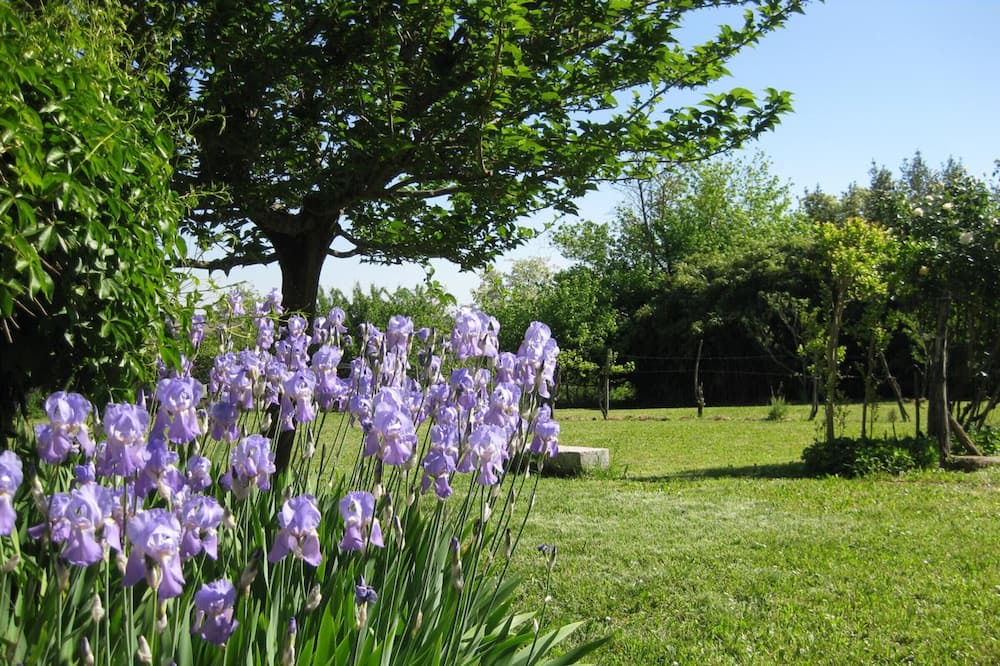 Photo of Outdoor in Ossages