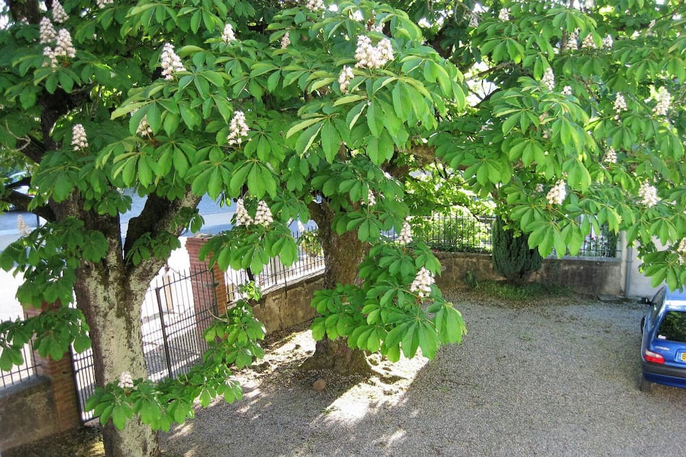 Photo of Outdoor in Ossages