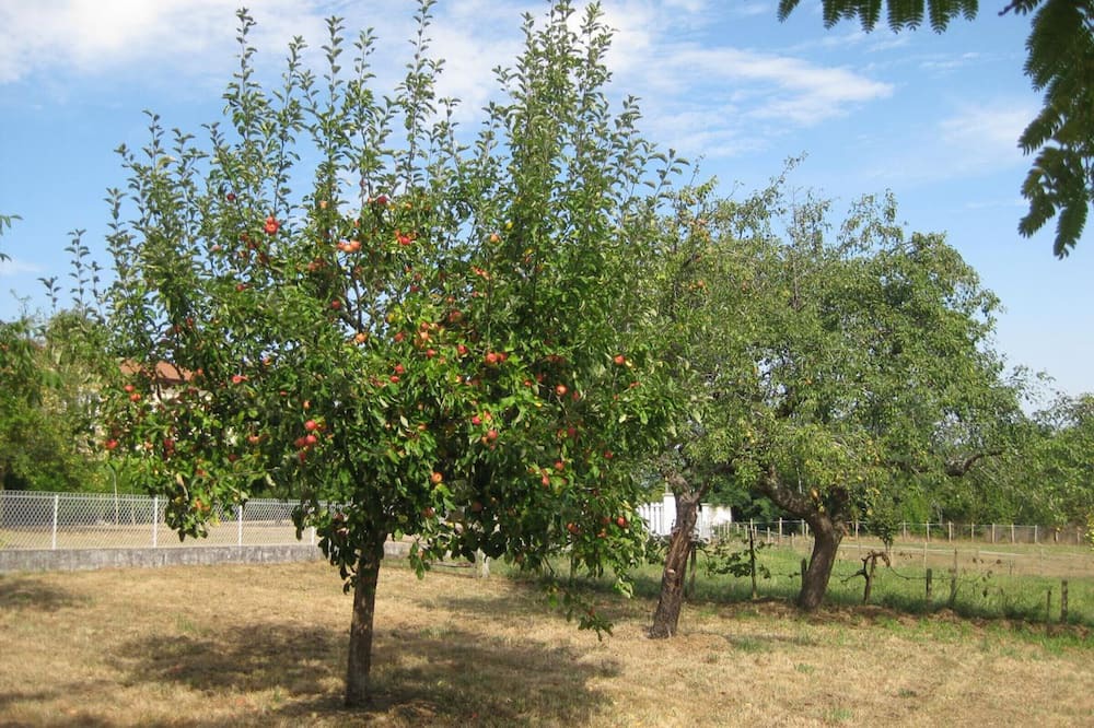 Photo of Outdoor in Ossages